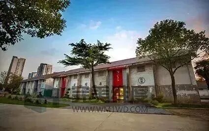 为体现习近平总书记新时代关于乡村振兴的思想，更好的展现广大党员的精神