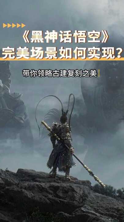 视频号 · 数智狂风