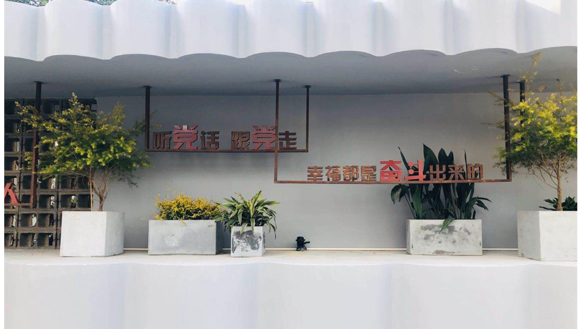 一直以来，国家非常重视党建工作，各省市也积极开展党建活动，例如201